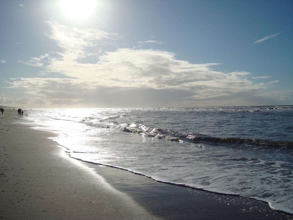 De Duintop Daire Zandvoort Dış mekan fotoğraf